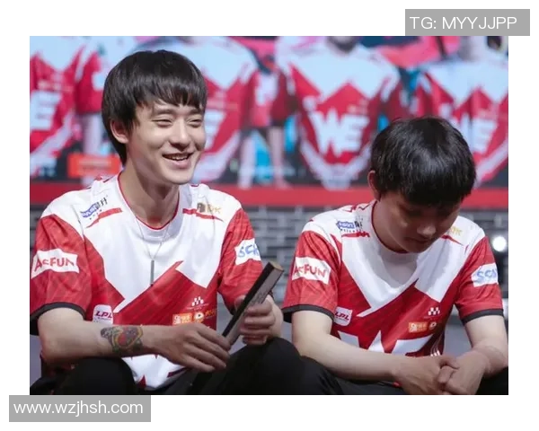 WE战队区域防守分析：优劣势与战术调整探讨