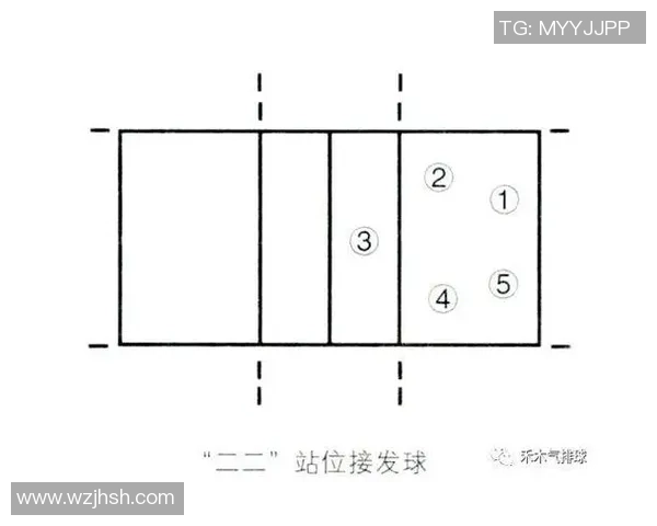上海排球队团队协作深度解析与其他球队的对比研究 上海排球队团队协作深度解析与其他球队的对比研究