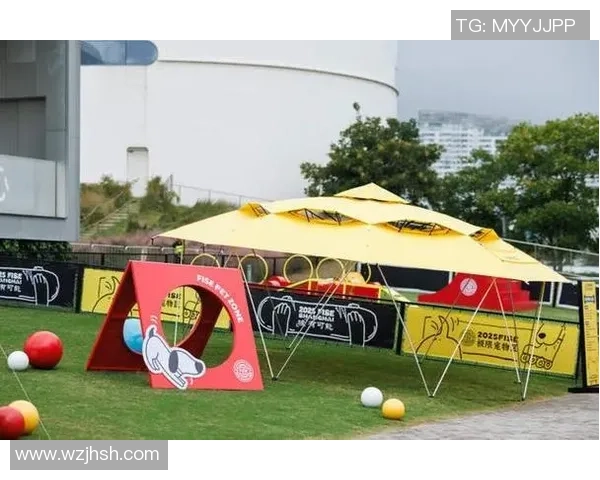 杭州极限运动嘉年华精彩点评展现极限运动队灵活性与团队协作能力 杭州极限运动嘉年华精彩点评展现极限运动队灵活性与团队协作能力